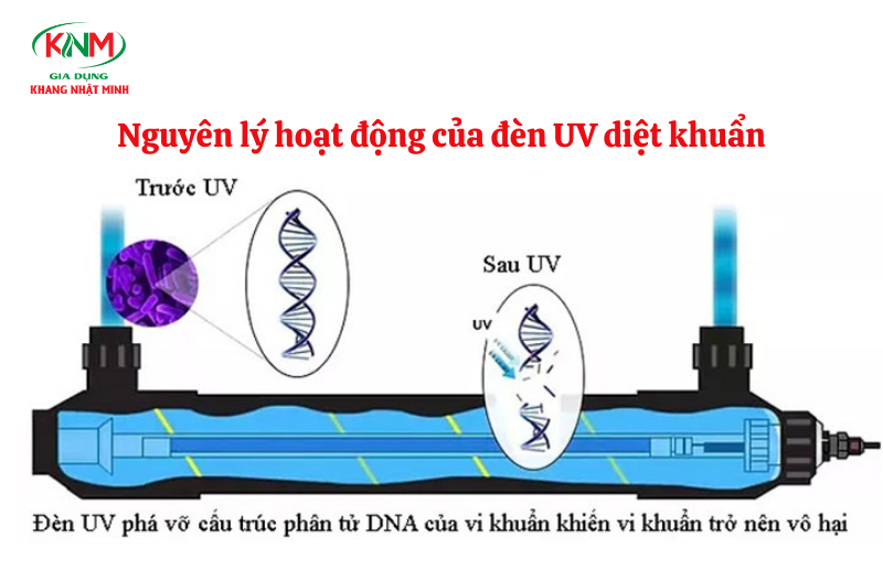 đèn uv máy lọc nước