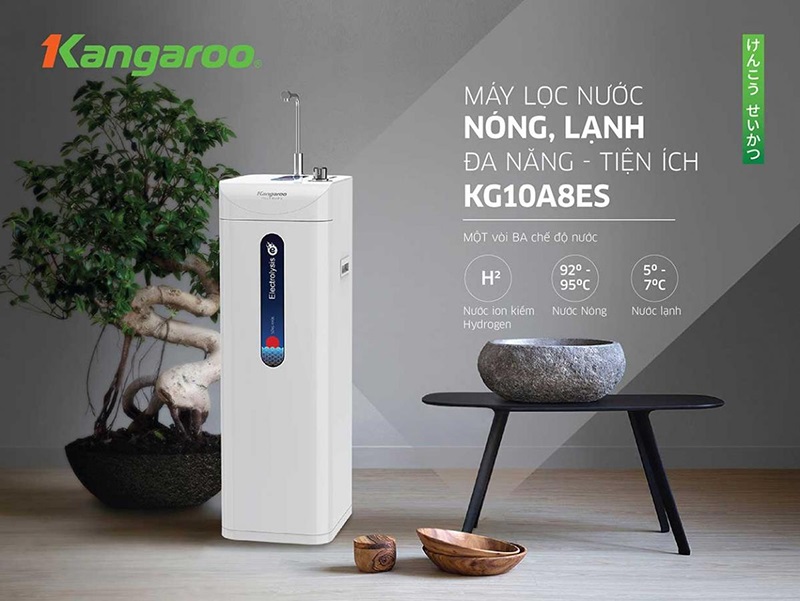 Máy lọc nước RO Kangaroo KG19A3