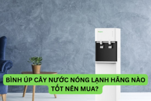 Bình úp cây nước nóng lạnh hãng nào tốt nên mua? Vì sao?