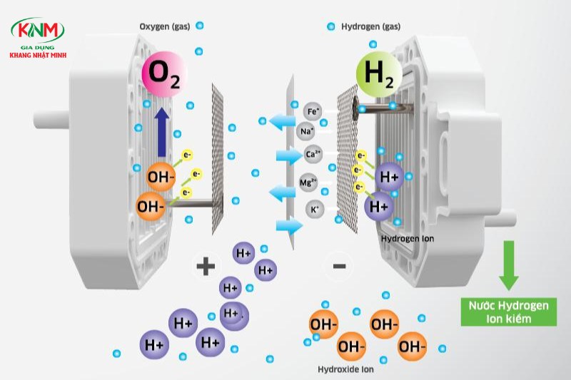 lọc nước tạo hydrogen